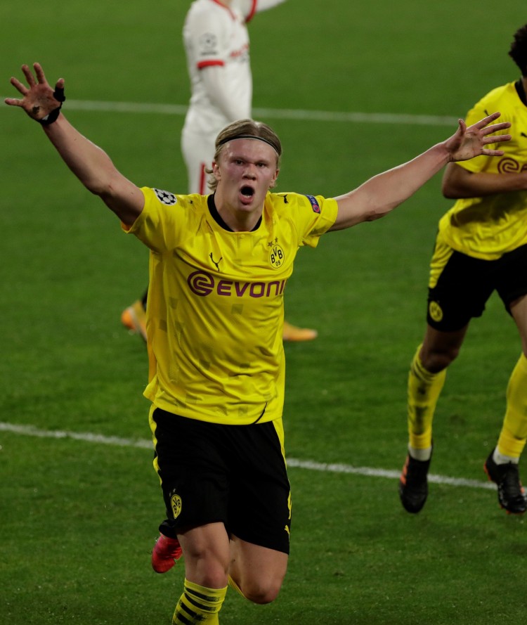 他都有着细 他都有着细