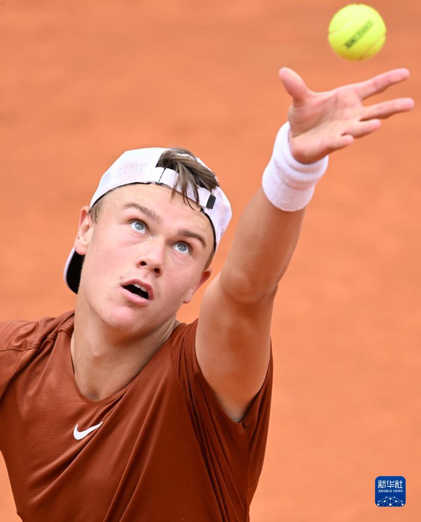 生态内延展 生态内延展