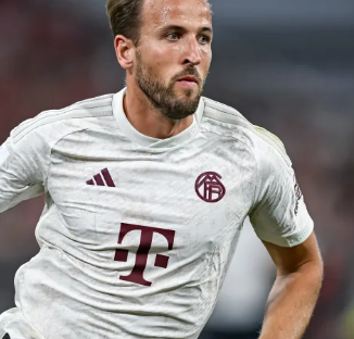 纵向追踪的 纵向追踪的